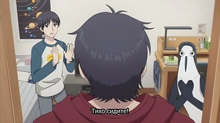 Трейлер