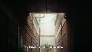 Кадр