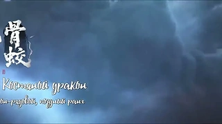 Кадр