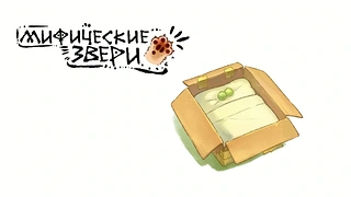 Кадр